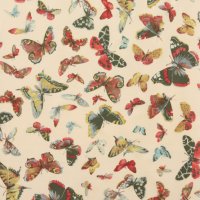 Eton Butterfly