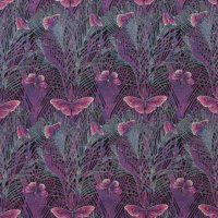 Oxford Butterfly
