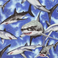 Shark!