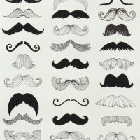 Where's My 'Stache?